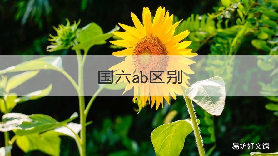 国六ab区别 国六ab是什么意思