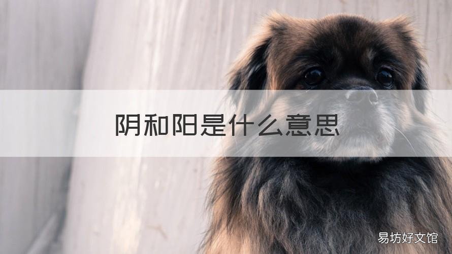 阴和阳是什么意思 阴阳是什么意思人