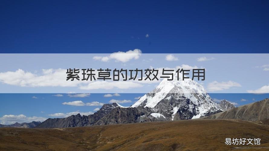 紫珠草的功效与作用 紫珠草的功效与作用及禁忌