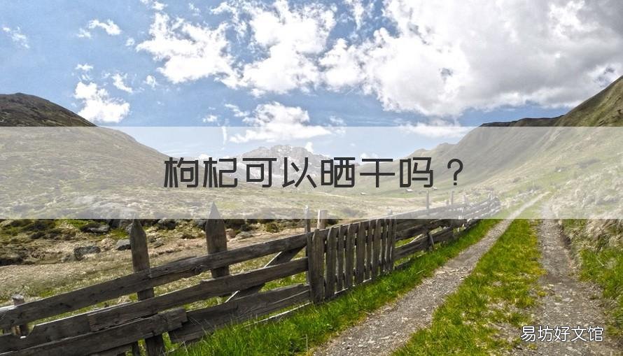 枸杞可以晒干吗 枸杞能直接晒干吗