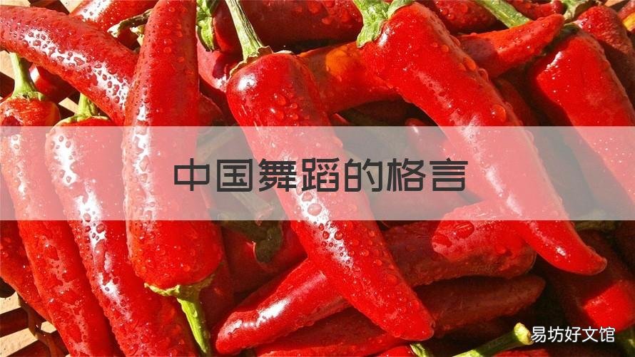 中国舞蹈的格言 中国舞蹈名人名言
