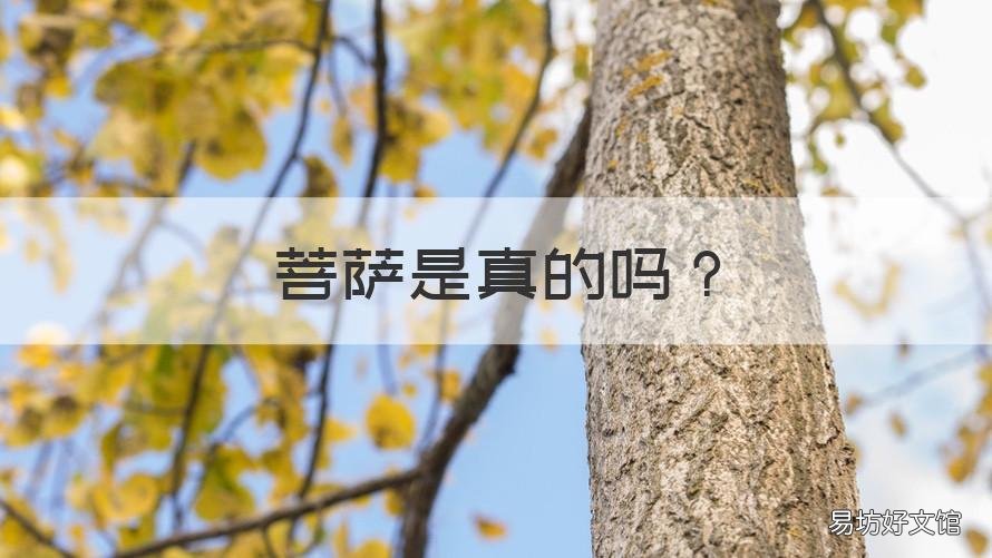 菩萨是真的吗 姜素敏肉身菩萨是真的吗