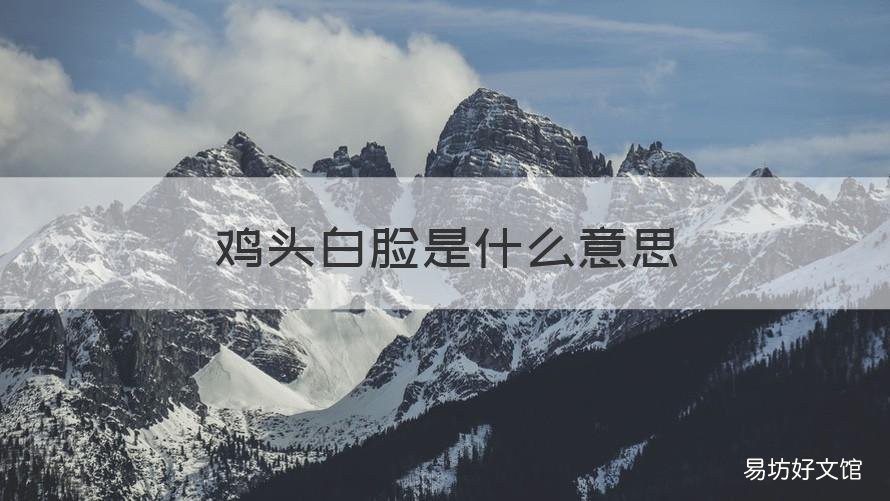 鸡头白脸是什么意思 鸡头白脸是不是成语