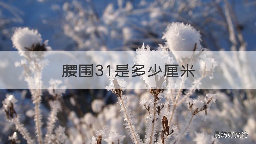 腰围31是多少厘米 男士裤子腰围31是多少厘米