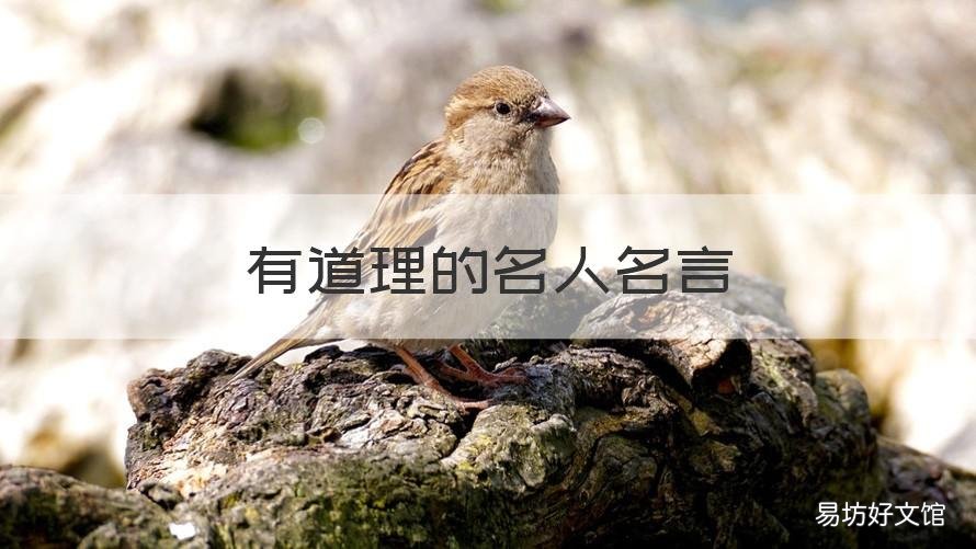 有道理的名人名言 关于有道理的名人名言