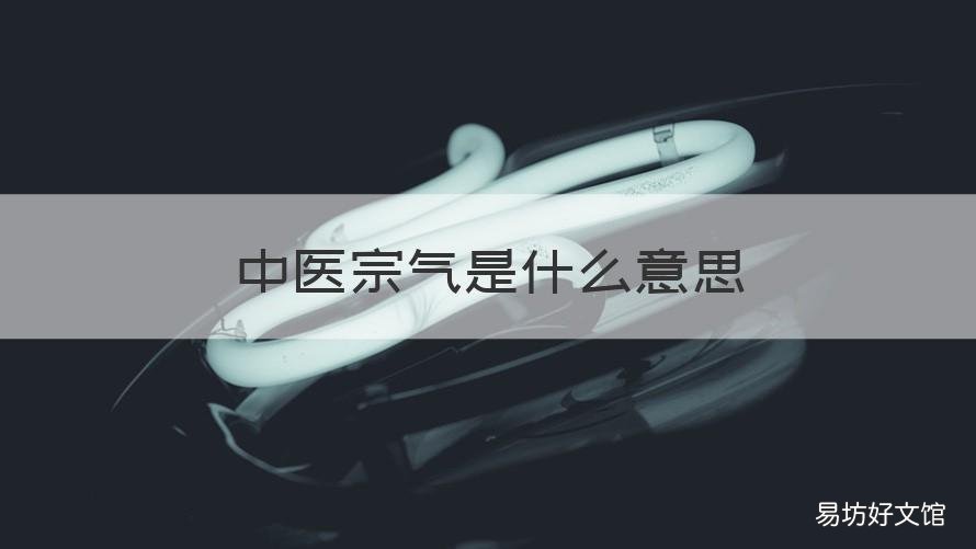 中医宗气是什么意思 中医的宗气是指什么