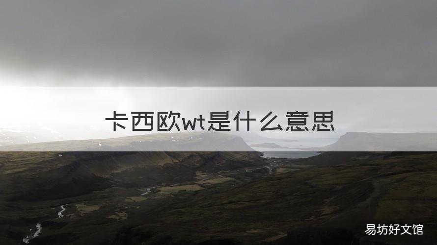 卡西欧wt是什么意思
