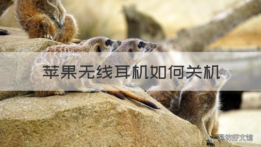 苹果无线耳机如何关机 苹果无线耳机关机了怎么开机