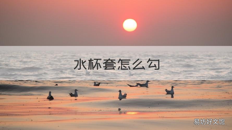 水杯套怎么勾 水杯套怎么勾购买