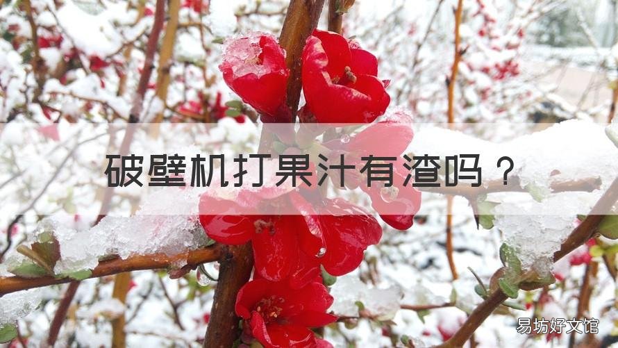 破壁机打果汁有渣吗 破壁机打果汁为什么有渣子