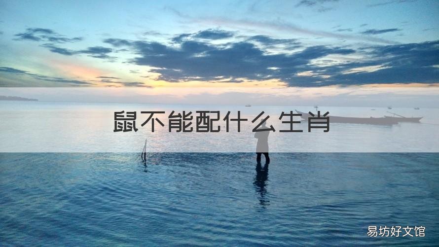 鼠不能配什么生肖 生肖鼠忌配什么生肖
