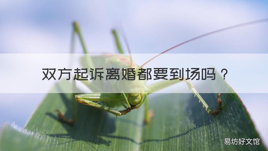 双方起诉离婚都要到场吗 起诉离婚也要双方到场吗?