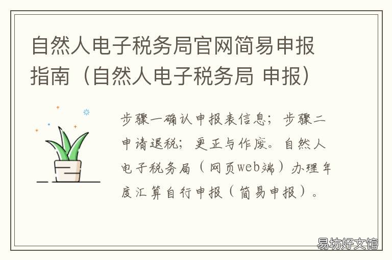 自然人电子税务局官网简易申报指南（自然人电子税务局 自然人电子税务局网站进行申报