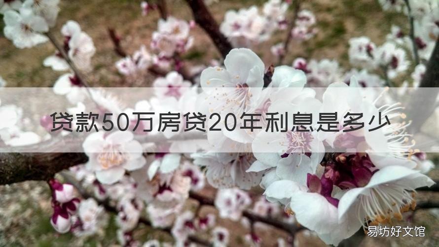 贷款50万房贷20年利息是多少 房贷50万20年利息多少钱