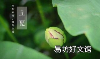 立夏吃什么？各地饮食习俗一览