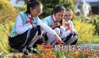 中小学心理健康教育的方法 中小学心理健康教育的指导思想不正确的是
