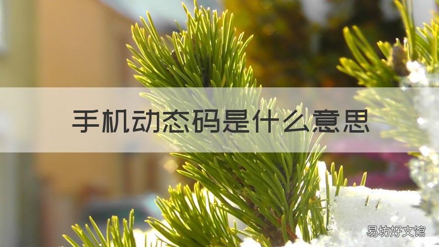 手机动态码是什么意思 手机号动态码是什么