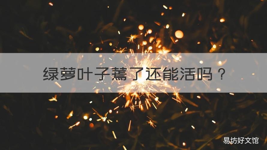 绿萝叶子蔫了还能活吗 绿萝叶子蔫了变软还能活吗