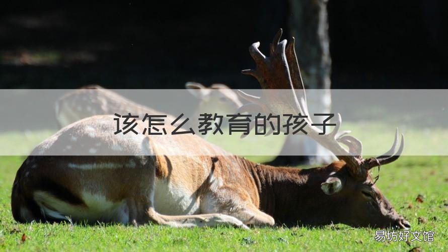 该怎么教育的孩子 该怎样教育孩子