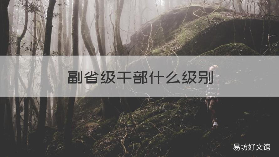 副省级干部什么级别 省级副处级干部是什么级别