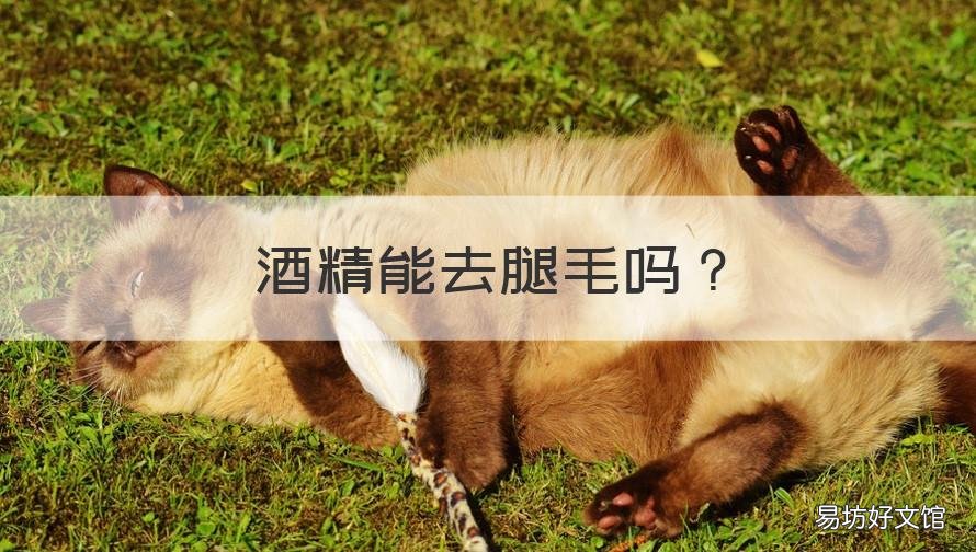 酒精能去腿毛吗 去腿毛有用吗