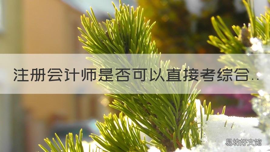 注册会计师是否可以直接考综合 注册会计师考试先考专业还是综合