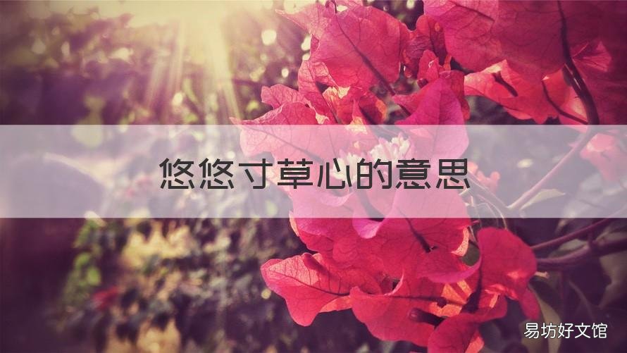 悠悠寸草心的意思 悠悠寸草心是啥意思