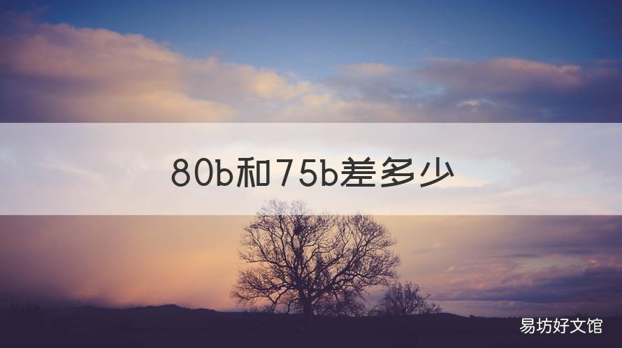 80b和75b差多少 80b和75a差多少