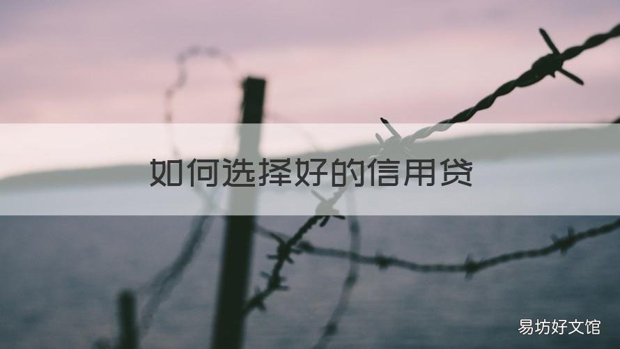 如何选择好的信用贷 哪个信用贷款好办