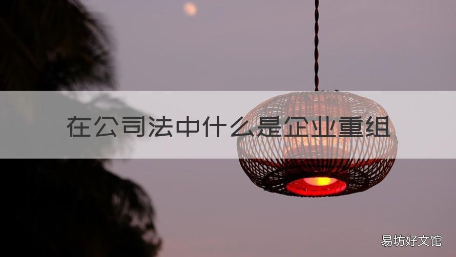 在公司法中什么是企业重组 在公司法中什么是企业重组的条件