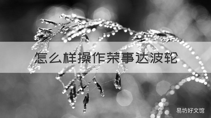 怎么样操作荣事达波轮