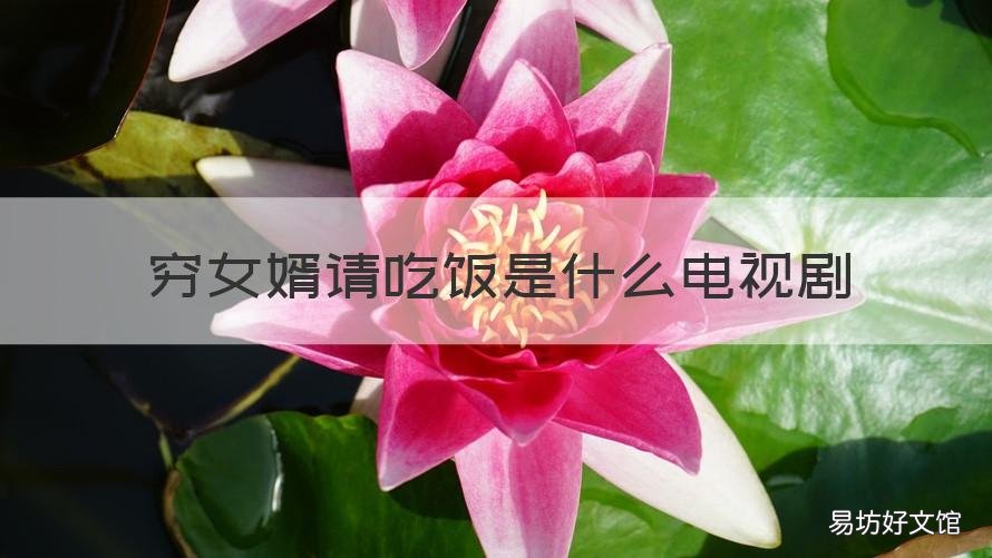 穷女婿请吃饭是什么电视剧 穷女婿的电视剧叫什么