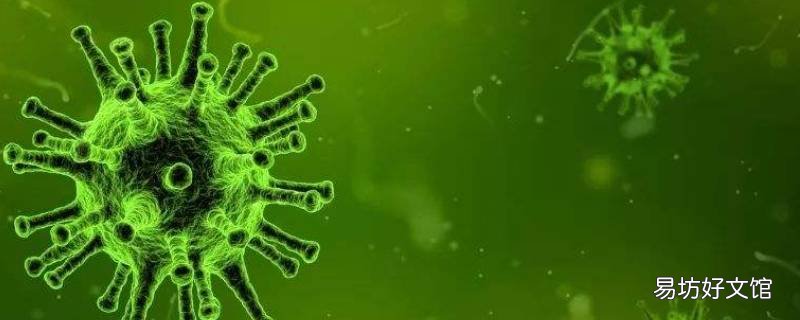 什么是异养生物 什么叫异养生物