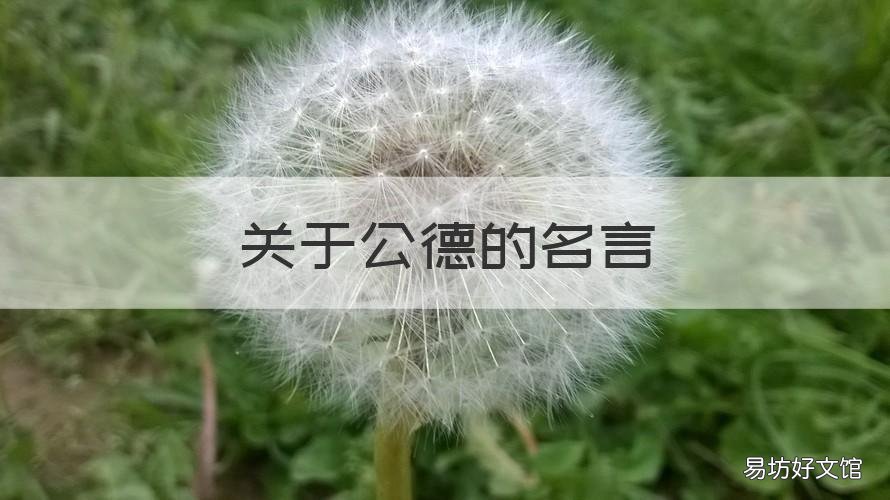 关于公德的名言 关于公德的名言,典型事例