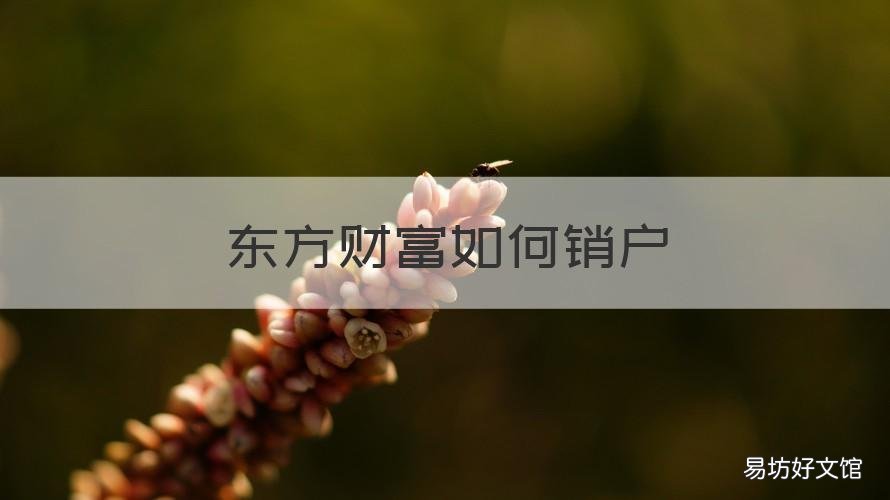 东方财富如何销户 东方财富 如何销户