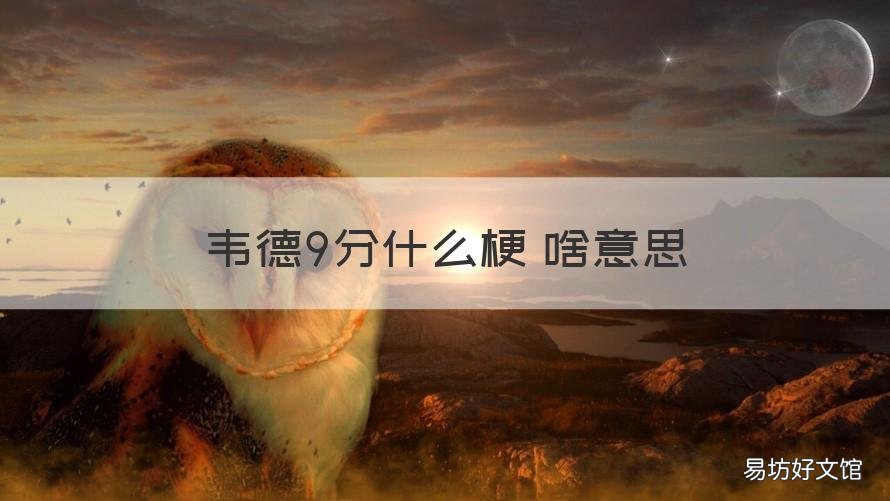 韦德9分什么梗 啥意思