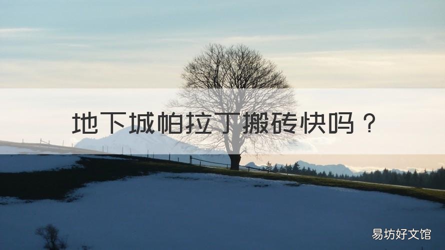 地下城帕拉丁搬砖快吗 帕拉丁哪个职业搬砖快