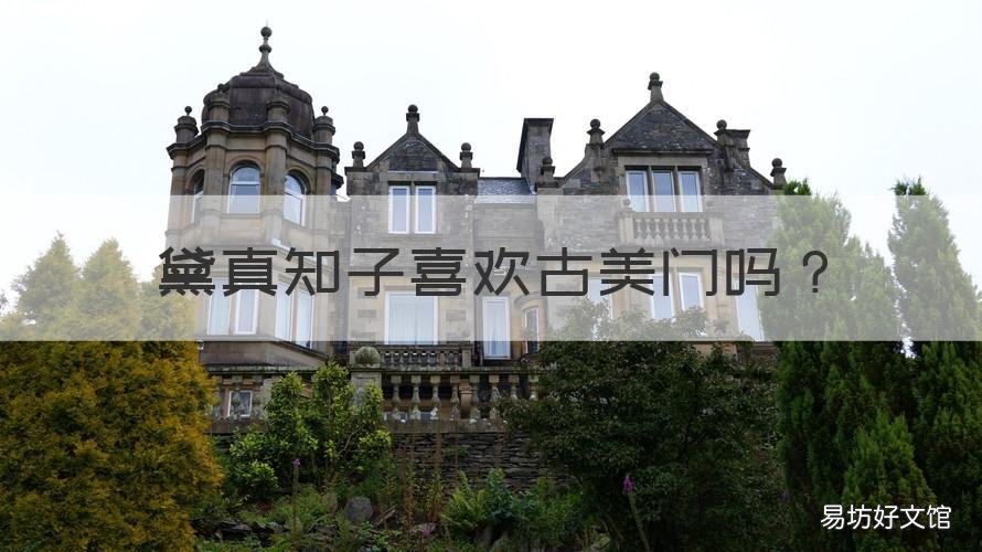 黛真知子喜欢古美门吗 黛真知子回到古美门