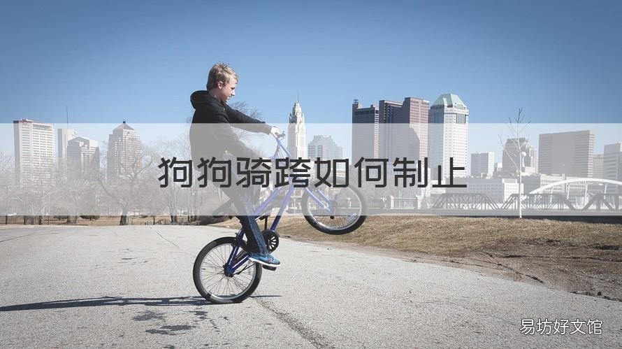 狗狗骑跨如何制止 怎么纠正狗狗跨骑