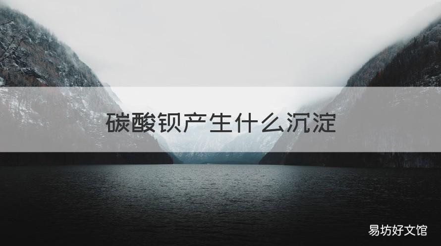 碳酸钡产生什么沉淀 碳酸钡产生什么沉淀物