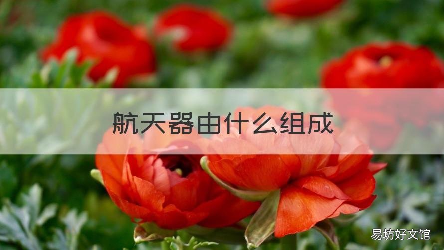 航天器由什么组成 属于航天器的有哪些