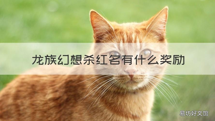龙族幻想杀红名有什么奖励 龙族幻想被打能消除红名吗