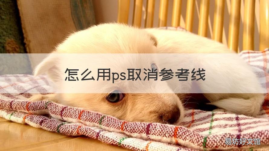 怎么用ps取消参考线 怎么用ps取消参考线快捷键