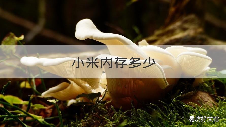 小米内存多少 小米内存多少cB