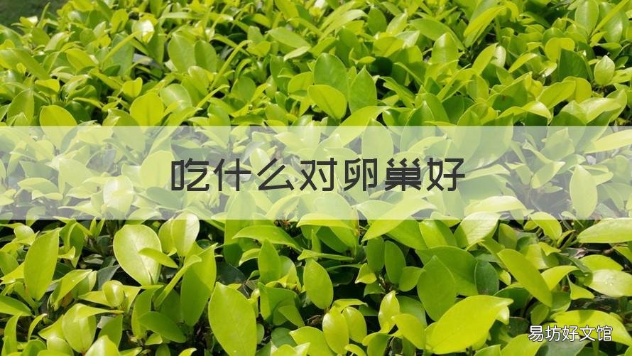 吃什么对卵巢好 吃什么对卵巢好还可以修复子宫