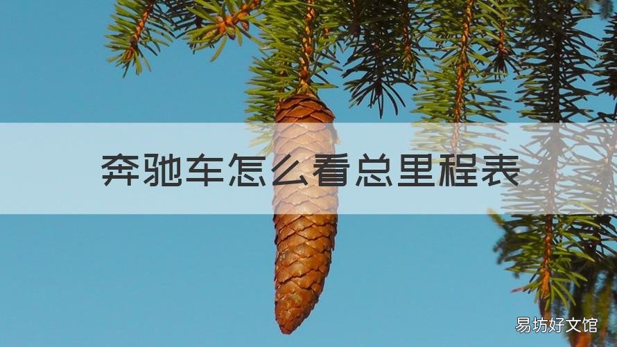 奔驰车怎么看总里程表 奔驰车怎么看总里程表怎么看