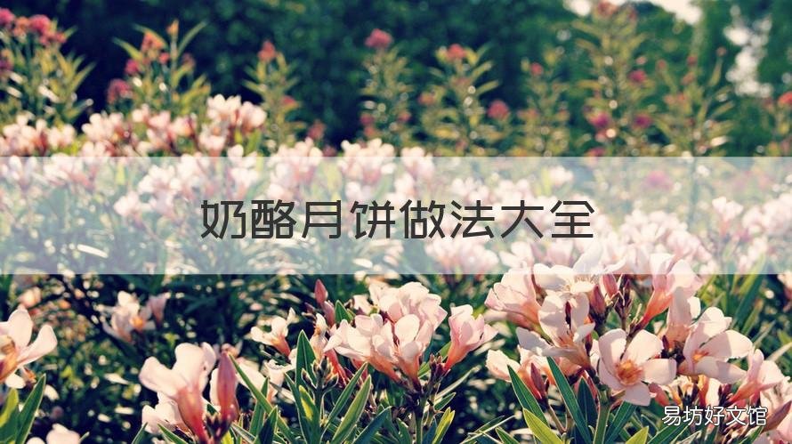 奶酪月饼做法大全 奶酪月饼做法大全窍门