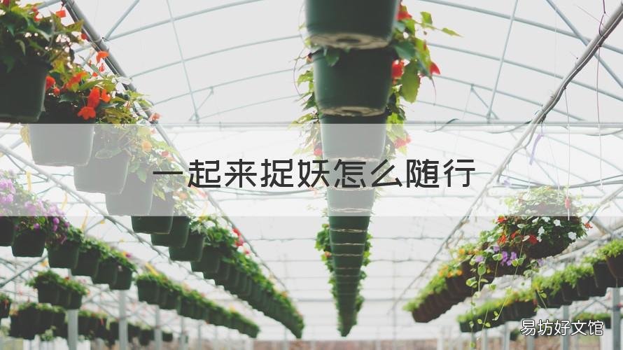 一起来捉妖怎么随行 一起来捉妖怎么随行飞行
