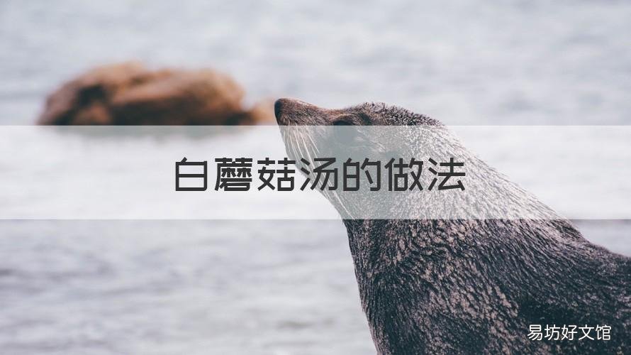 白蘑菇汤的做法 白蘑菇汤的做法下厨房