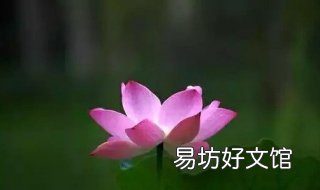 单子叶植物与双子叶植物的区别是什么 单子叶植物与双子叶植物举例